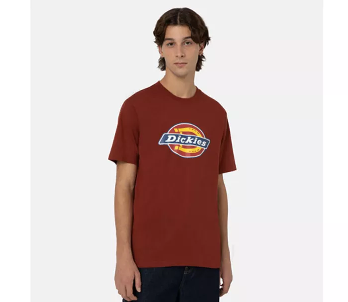 Męska koszulka DICKIES ICON LOGO T-SHIRT FIRED BRICK